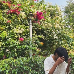 Chaandni acoustic l sufr l amnesia