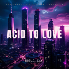 Bigudi Say - Acid to Love [Iparallels Records]