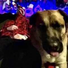 Top floor ft aeroaero (fl0wzy and vilefate)