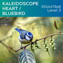 Kaleidoscope Heart/Bluebird