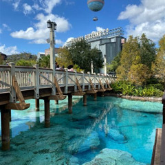 Best Fun Things To Do In Orlando Florida For Couples Tours Reviews