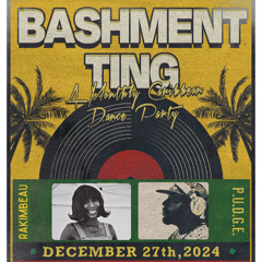 Bashment Ting Dec. '24 vol1