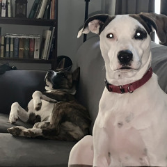 Ophelia (innebriated lofi Take 4)