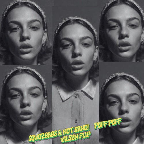 sqwozbabs & not band - puff puff - wilsun flip (free DL!) cover