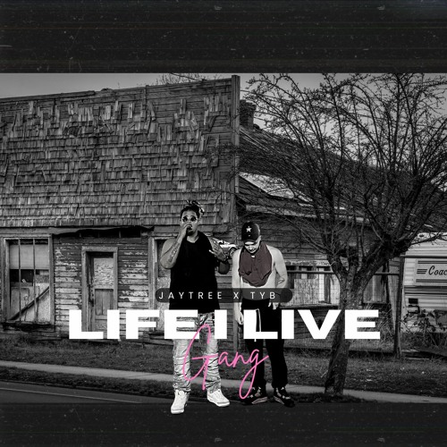 Stream JayTree X TyB Life I Live(Official Audio) by Jay Tree Listen