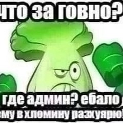 ЗА ТОБОЙ ЦВЕТЫ (Slowed reverb)