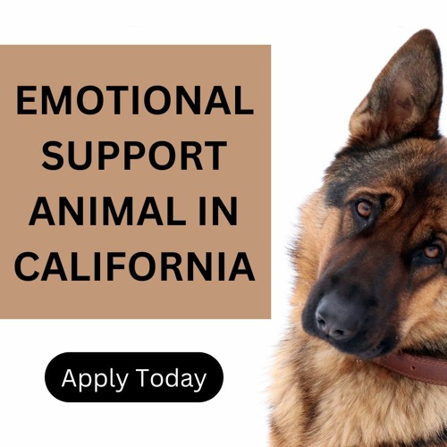 Stream How To Register Your Dog As An Emotional Support Animal In