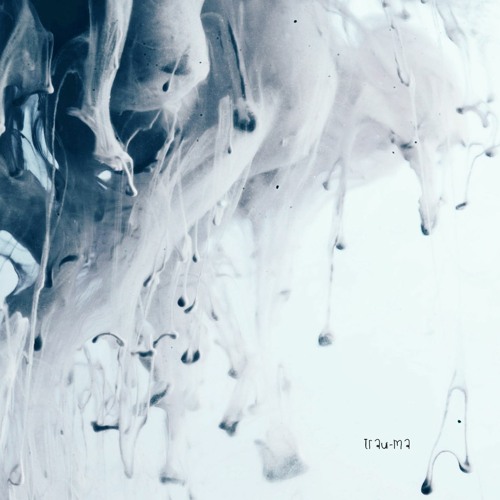 Luca Tresque - Tripping Towards Sun (Original Mix) [TRM284]