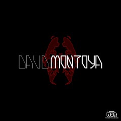 Episode 293 David Montoya