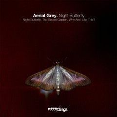 Aerial Grey - Night Butterfly (Original)