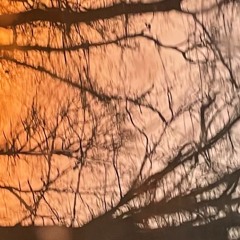 hard to remember how it felt before