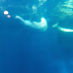Underwater Silence