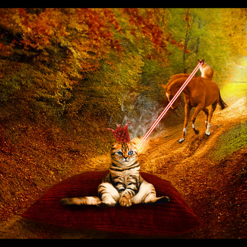 SEND ME YOUR ADDRESS