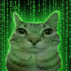 NEO3