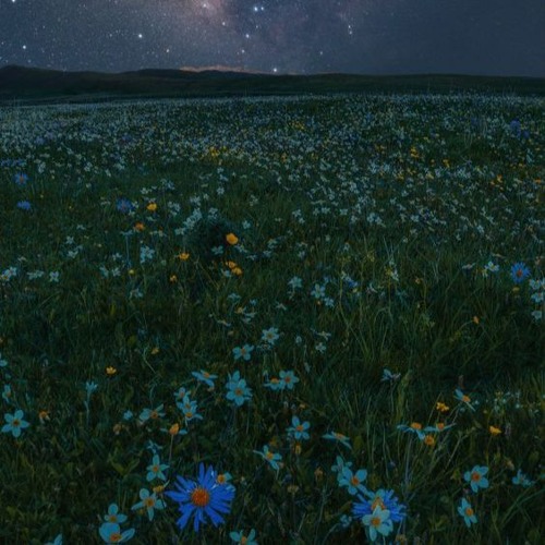 scruntinize all of the clusters in the great galaxy [prod. xmichaelwarren]