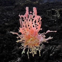 Soundscape Orology 031 w/ Storm Stereo (05.12.23)