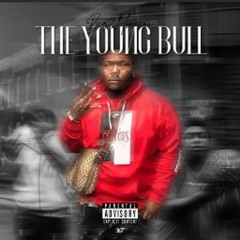 BIG 4 - YOUNG BULL