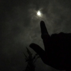 •Winners&Losers•