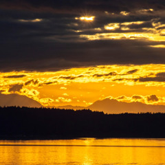 I sensi della libertà