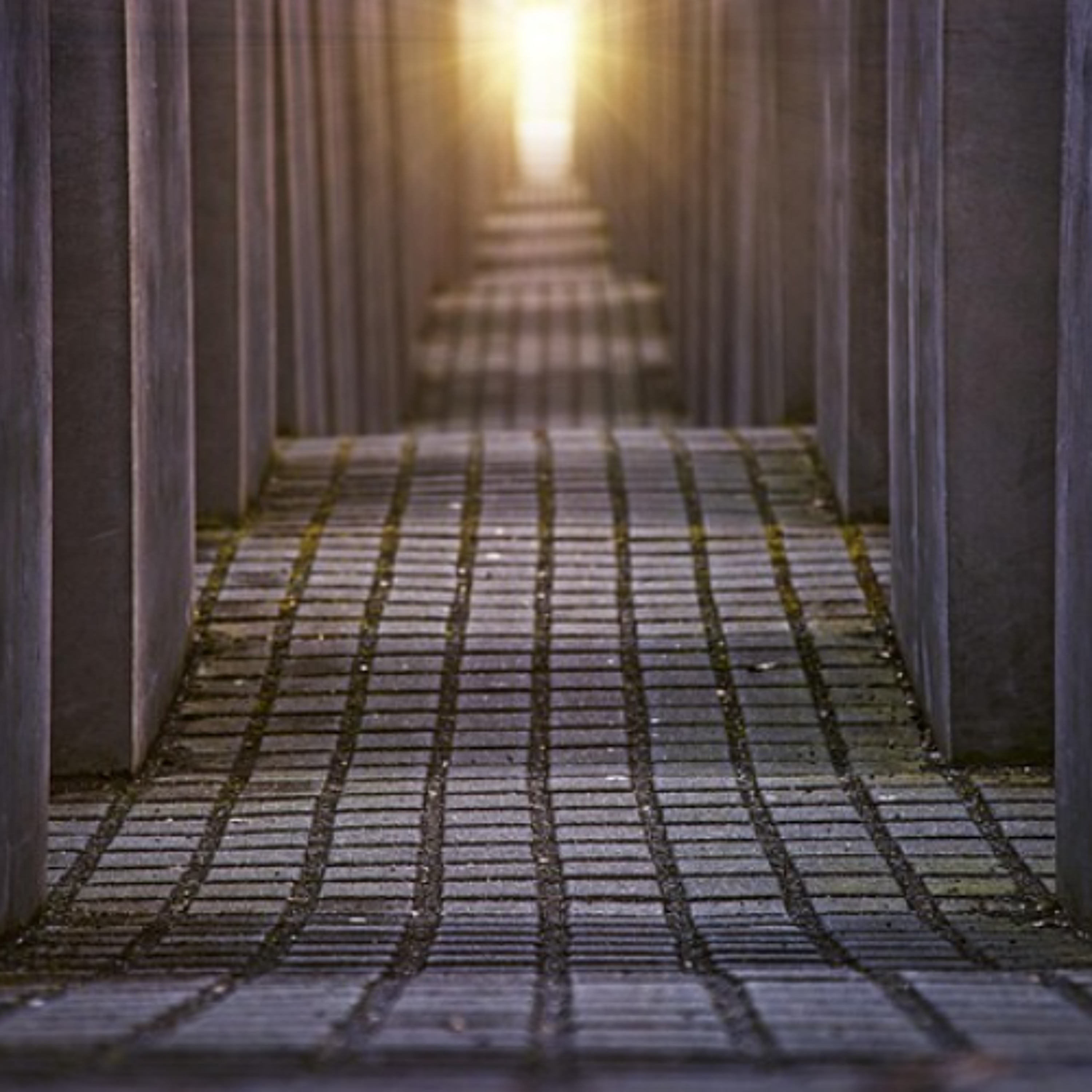 The Holocaust Is Forgotten By The World - The Jay Shapiro Show