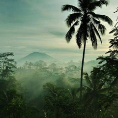 DOUWE MURDI MACH  MIX 3 WHO CARES DUB