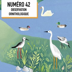 Biodiversité On Air #42 : Observation ornithologique