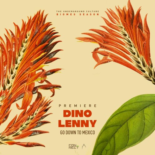 PREMIERE: Dino Lenny - Go Down To Mexico [Fine Human]