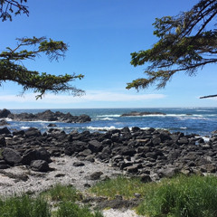 Mareks Chill Set Aug2021.mp3