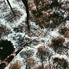 Virgoun - Bukti (cover) wulan.wav