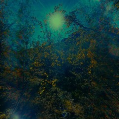 Vandal & Cham - Don't Forget Your Roots (Kaotik 09) / SouLove rec - General Levy - Jah Jah Bless - Vibronics - Kali Mountain / Anthony B - Chill Out (DJfloristi mashupREMIX)