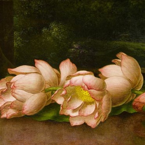 Discover Modern Flower Art Paintings Exhibitions in the US