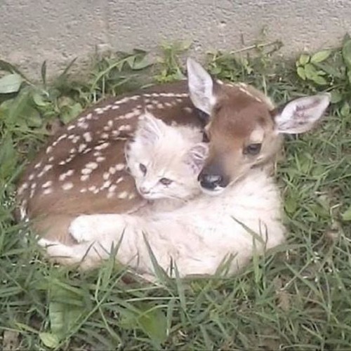 me & u @fallinslime