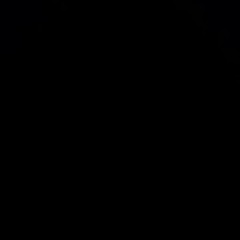 vanta black (LDSR #262)