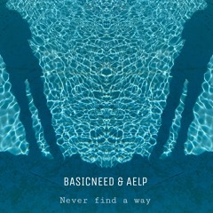 Basicneed & Aelp - Never find a way