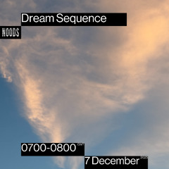 Dream Sequence 15