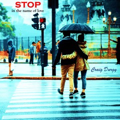 Stop in the Name of Love
