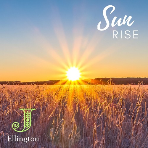 Sun Rise
