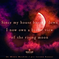 Boson Spin - Since my house burned down [naviarhaiku 370]