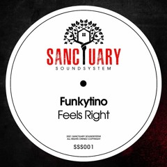 Funkytino - Feels RIght
