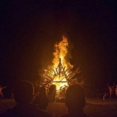 Daisy Rapp & the Burning Sparrow - Roar Human, Roar