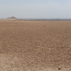 Gobi Desert (2025 pre-release)