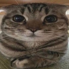 Joy Again Necromancer spedup/nightcore