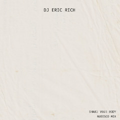 DJ Eric Rich - Shake Your Body (Nudisco Mix)