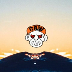 Zaine - Anarchy (MELODIC RAW) [MONKEY TEMPO]
