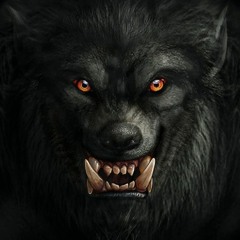 Vaugon - Wolves astray