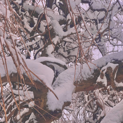 V1RTUALV1C- snow [prod: sketchymakesbeats]