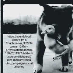 VIOLENT BIRTH OF STARS