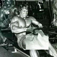 хай лунають тости тости .