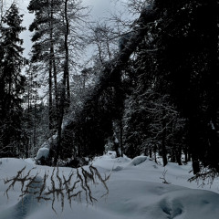 Forgotten