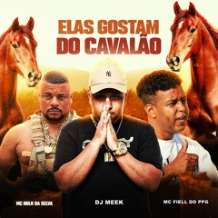 MC'S FIELL & HULK - ELAS GOSTAM DO CAVALÃO [[ MEEK DA ESPANHA ]] 2024